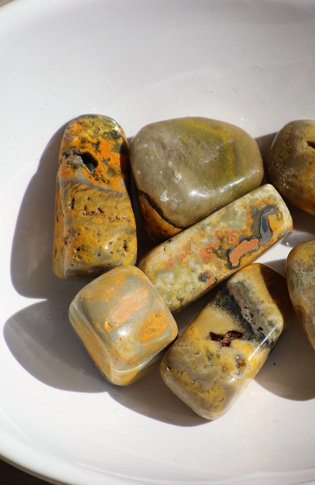 Bumble Bee Jasper Tumbled Stone